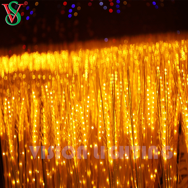 Жизненный пшеничный цветочный завод для открытого садового ландшафта