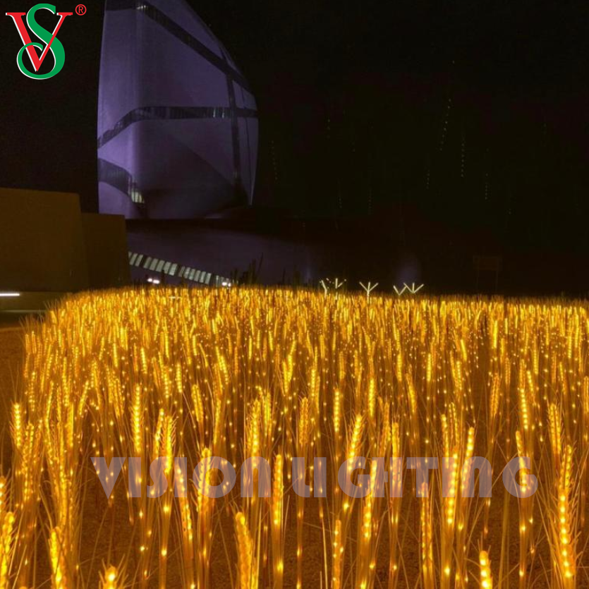 Жизненный пшеничный цветочный завод для открытого садового ландшафта